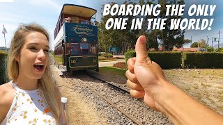 Boarding the ONLY WINE TRAIN in the WORLD / Franschhoek South Africa