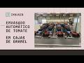 🍅 Envasado automático de tomate en cajas de granel | Automatic packaging of tomatoes in bulk boxes