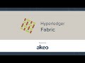 What is Hyperledger Fabric? Is it the right fit for your business?