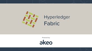 What is Hyperledger Fabric? Is it the right fit for your business?
