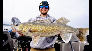 Best Tactics for Fall Walleyes: Pro Picks (Part 1)