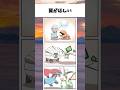翼がほしい#ポケモン #アニメ #shorts