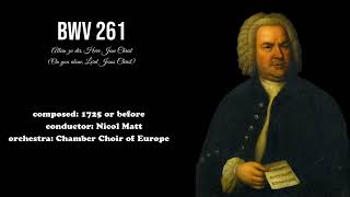J.S. Bach - BWV 261 (On you alone, Lord Jesus Christ)