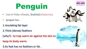 primary 4 , science , concept 1 (adaptation)