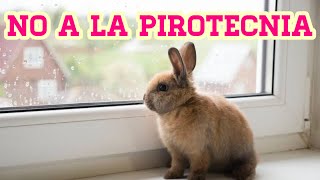 COMO PROTEGER A TU CONEJITO DE LA PIROTECNIA by Vida de un conejo 2,287 views 5 months ago 3 minutes, 19 seconds