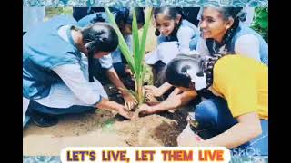 Go green 💚 save green 💚 