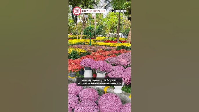 Cúng Ngày 30 Hay Mùng 1 - Lễ Nghi Thể Hiện Tâm Thành Của Người Việt