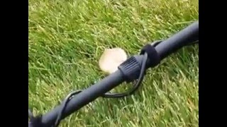 HikkiiThuninth.mp4