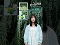 上白石萌音 New Album『bouquet』全曲Teaser
