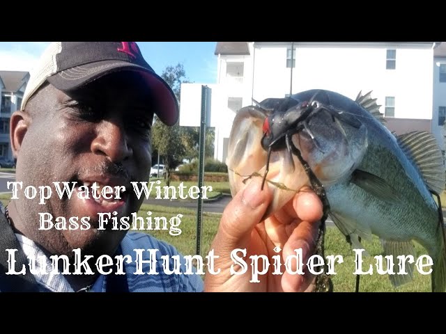 SPIDER BASS! Fishing a TOPWATER Spider Lure for BIG