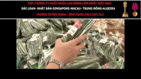 SỰ THẬT VỀ mô hình hợp tác xã làm nông nghiệp ở Nhật Bản