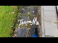 Team Me - Green Crystal Rain on a Star (Official Lyric Video)