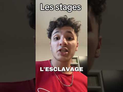 Vous aimez bien