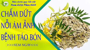 Phan tả diệp, vị thuốc nhuận tràng trị táo bón cực hay
