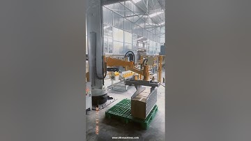 Polar type carton box palletizing machine robot hand palletizing video