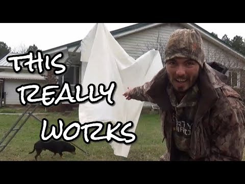 Georgia Waterfowler Tutorial Hoe Duck Hunt Georgia