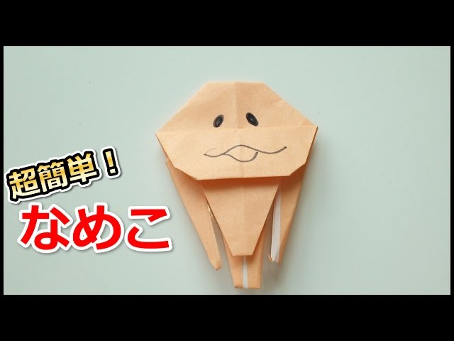 なめこ栽培キット:なめこ