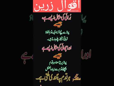 Best Aqwalzareen Aqwal Zareen Shorts بہترین اقوال زریں