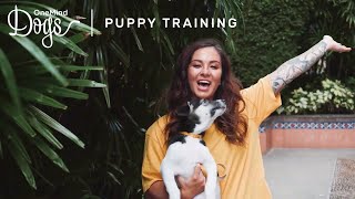 How to Train Your Puppy to Come To You | OneMind Dogs Collaboration