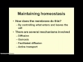 Understanding the Plasma Membrane and Transport Mechanisms