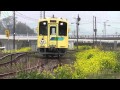 菜の花と筑豊の鉄道 の動画、YouTube動画。