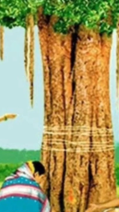 Bargad Ke Ped Ka Puja Karen Ka Faida YouTube bargad-ke-ped-ka-puja-karen-ka-faida-youtube