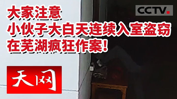 《天网》男子光天化日下连续破窗入室盗窃 大胆盗贼难逃法网！受害人损失巨大却选择原谅嫌疑人 20230412 | CCTV社会与法 - 天天要闻