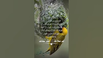 تلاوة خاشعة عطرة مباركة جميلة عذبة للشيخ هزاع البلوشي ماتيسر من سورة الشعراء
