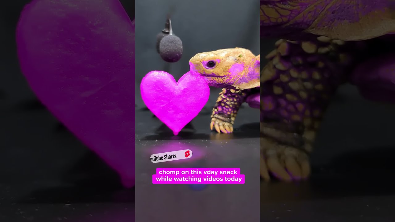 Happy Almost Valentine S Day To Your Ears Asmr Urwelcome Valentines