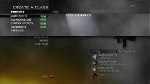 All Titles and Emblems ! (SPLIT SCREEN) All camos