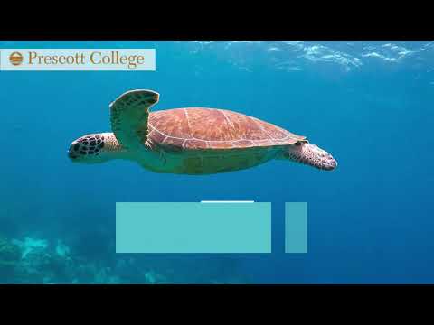 Prescott College - Time To Register for Classes