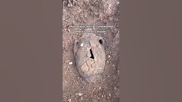 Hooks Video Youtube Tiktok Open Fossil #surprise   #pug  #treasure  #unexpected #troll