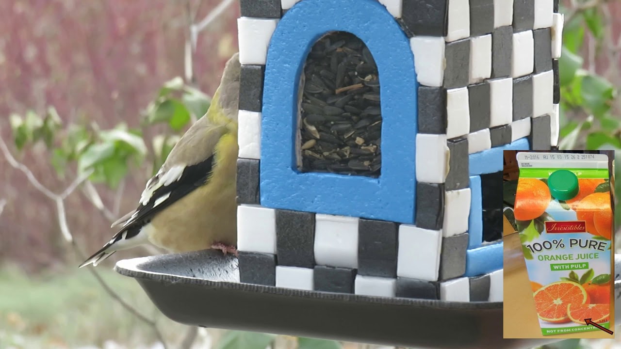 Mangeoire d'oiseaux à faire soi-même - YouTube