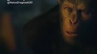 Planet Of The Apes - Caesar Needs Help Lol
