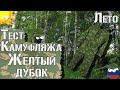 Тест камуфляжа Желтый дубок. Лето / Camouflage test Yellow oak. Summer. Russian camouflage
