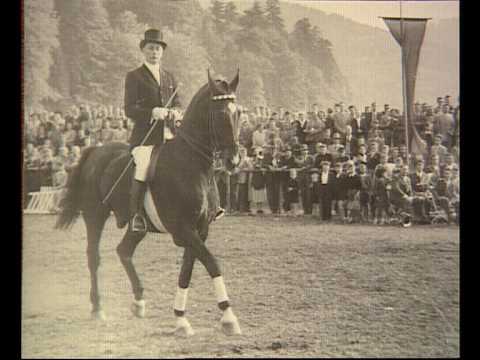 Egon von Neindorff - der Pferdemann - YouTube