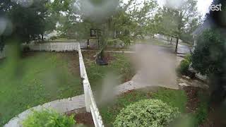 Tree falls in our yard - Hurricane Michael