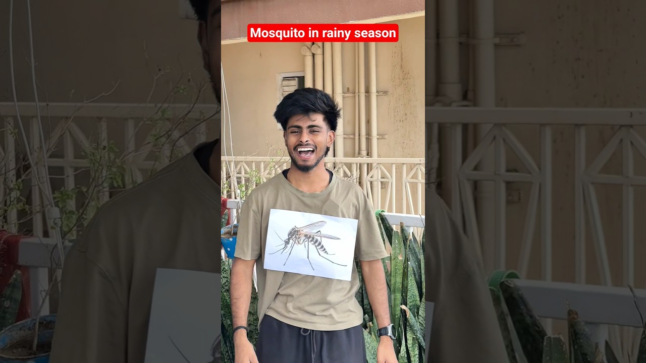 Mosquito in rainy season | 
