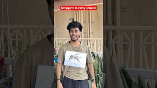 Nyamuk di musim hujan | #celana pendek