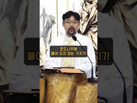 영상썸네일