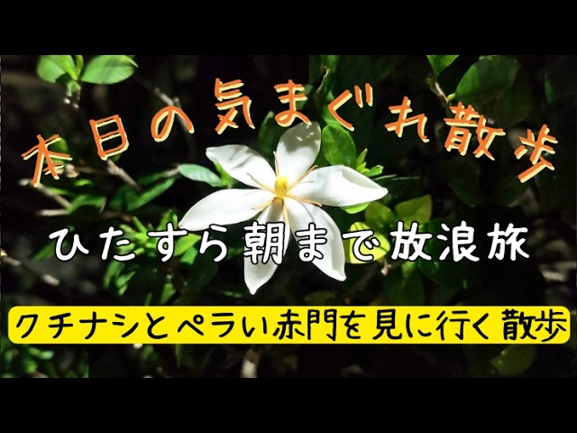 オリンパス OM-D E-M10｜2014 本田圭佑 - YouTube