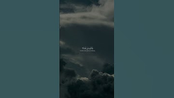 وكان الله غفوراً رحيماً # قرآن # محمد اللحيدان# #تلاوة_خاشعة #راحة_نفسية #اكسبلور