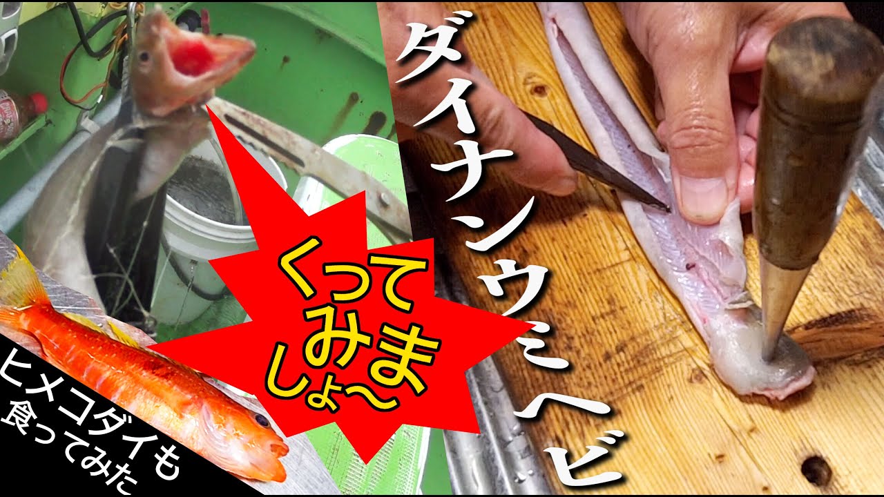 海老の味がすると言うヒメコダイの天ぷらを作る為に外道としてアマダイも釣れるアカボラ船に乗ってみたら…【忌まわしい外道ダイナンウミヘビの天ぷら】