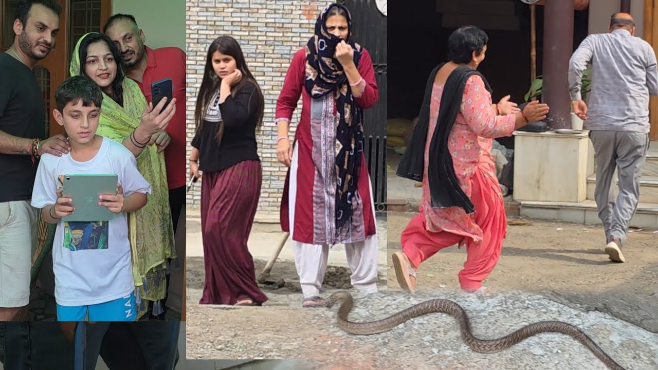 वकील की कोठी पर सांप का कब्जा पड़ोस मे दह*शत ///स्नेकमैन सतीश फफड़ाना 9255130130