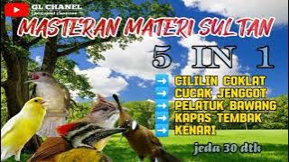 Kombinasi masteran‼️ CILILIN - CUCAK JENGGOT - PELATUK BAWANG - KAPAS TEMBAK - KENARI suara jelas