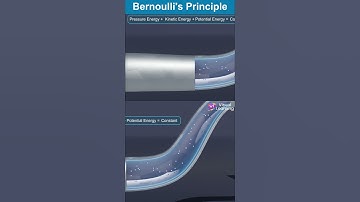 Bernoulli
