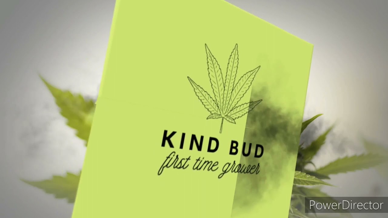 Getting ready for harvest week 13 1/2 autoflower grow