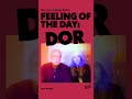 Brian Eno and Beatie Wolfe's feeling of the day: Dor