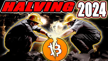 The 2024 Bitcoin Halving Will Change Everything (150k BTC)