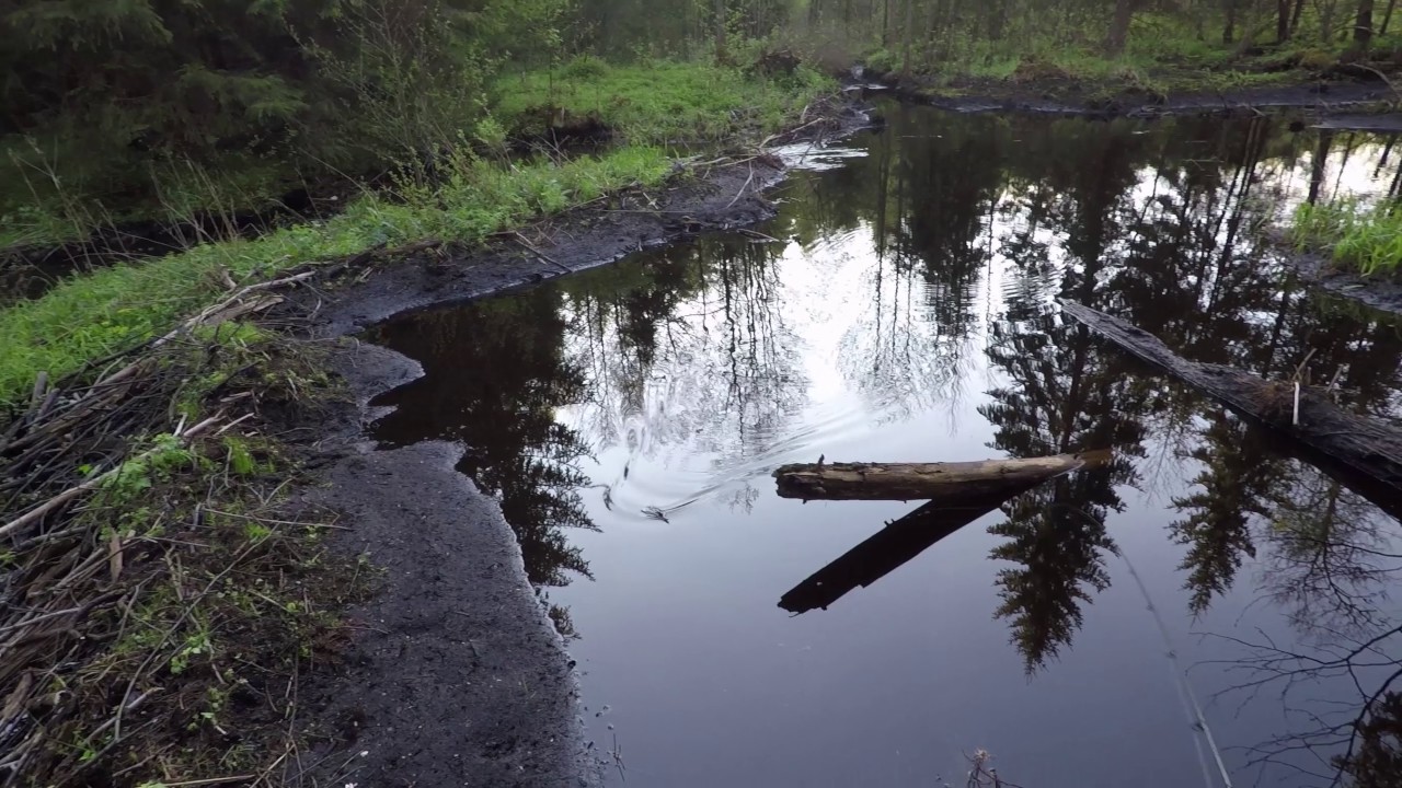 Upėtakių žvejyba - Small stream trout fishing Ep. 5